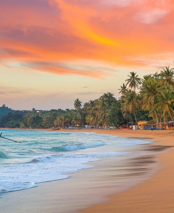 golden sand beach in goa